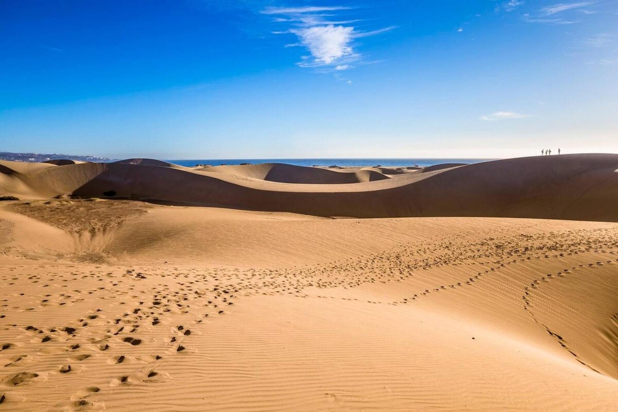 Bungalow Beside The Maspalomas Dunes By Pride Holiday Rentals San Bartolomé Εξωτερικό φωτογραφία